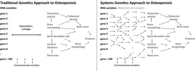 Figure Figure 1