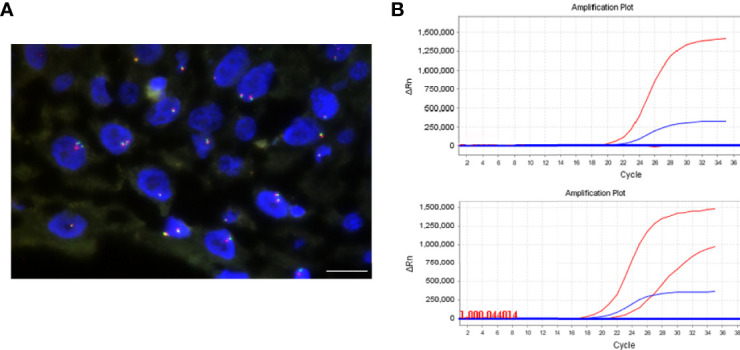 Figure 4