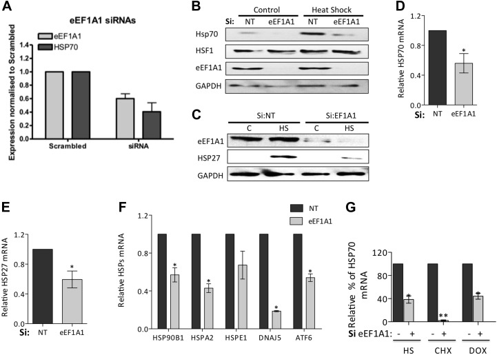 Figure 1—figure supplement 3.