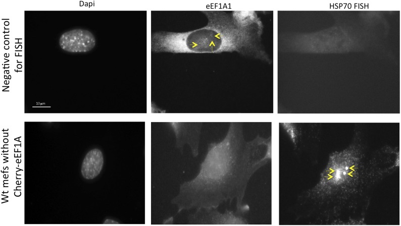 Figure 3—figure supplement 3.