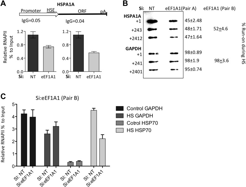 Figure 1—figure supplement 5.