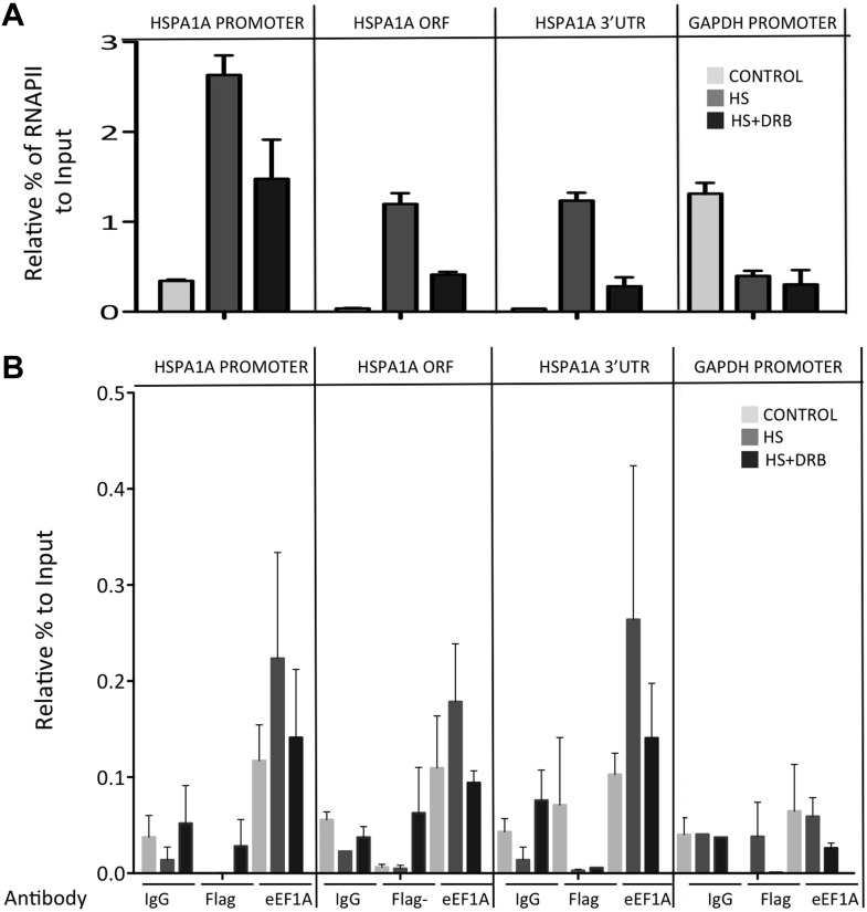 Figure 3—figure supplement 4.