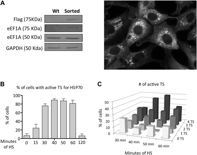 Figure 1—figure supplement 6.