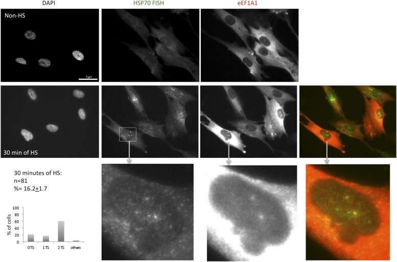 Figure 3—figure supplement 1.