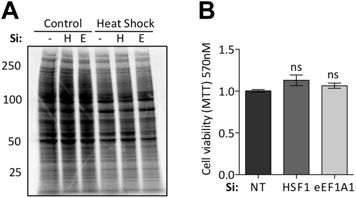 Figure 1—figure supplement 1.