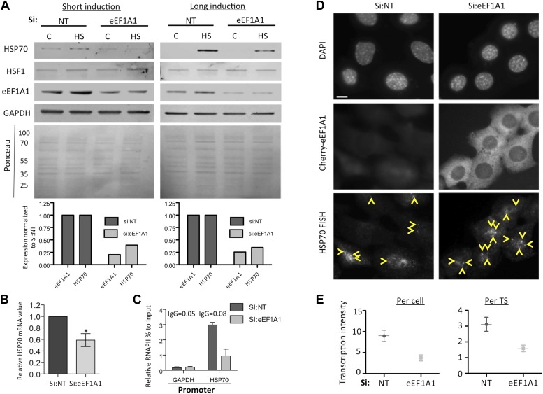 Figure 1—figure supplement 2.