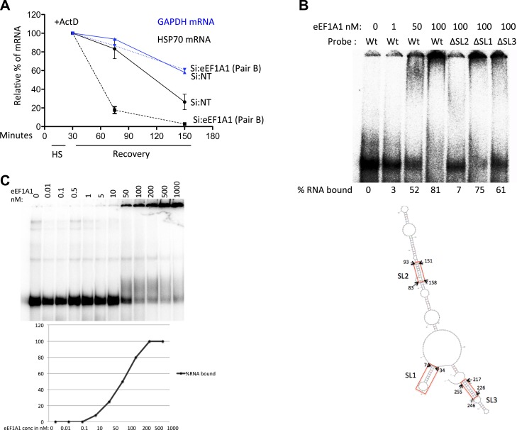 Figure 4—figure supplement 1.