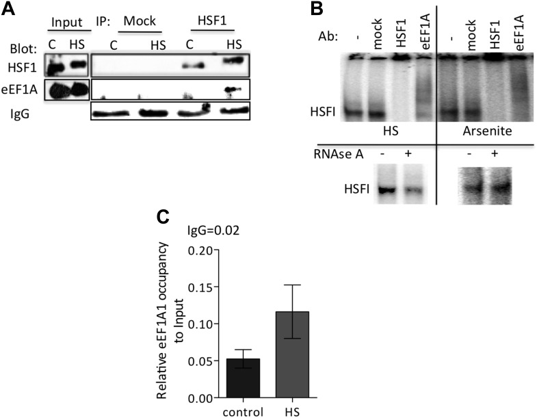 Figure 2—figure supplement 1.