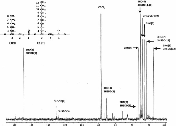 Fig. 8