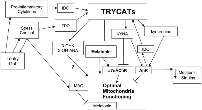 Figure 2.