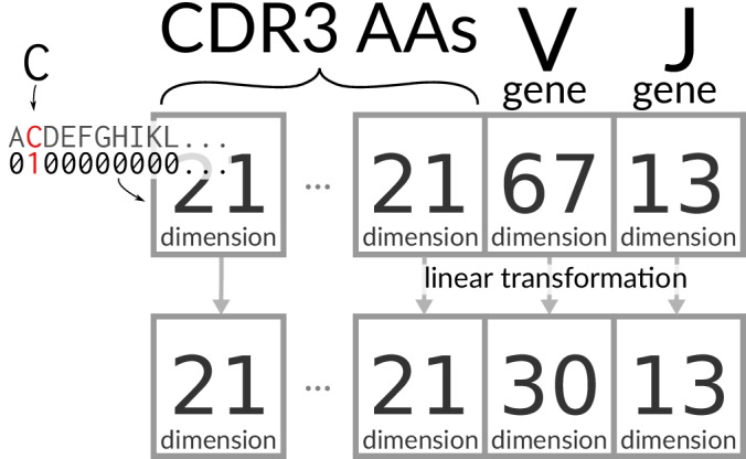 Figure 7.