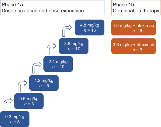 Figure 1. Study scheme for the investigation of DCDS0780A monotherapy (phase 1a) and combination therapy (phase 1b) with rituximab (375 mg/m2).