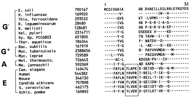 FIG. 33