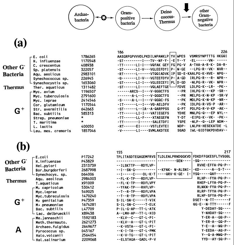 FIG. 16