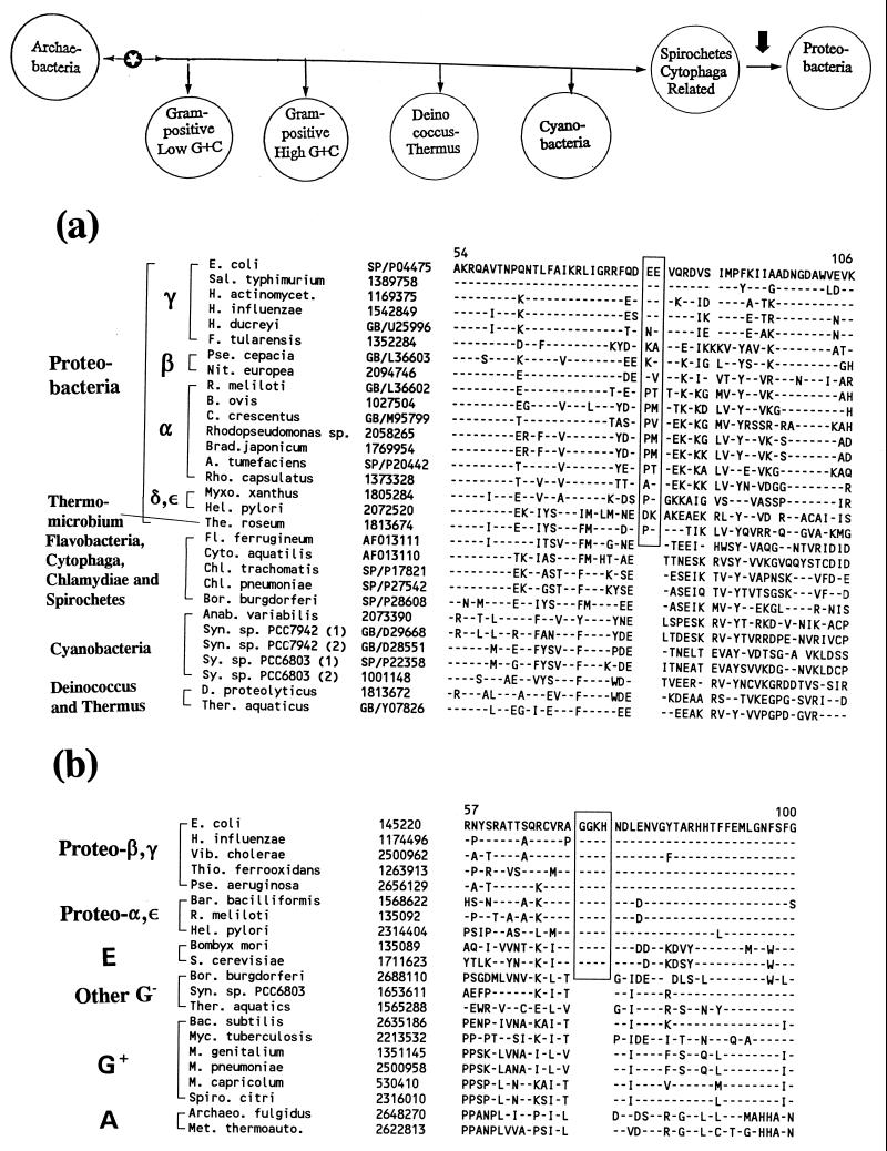 FIG. 19