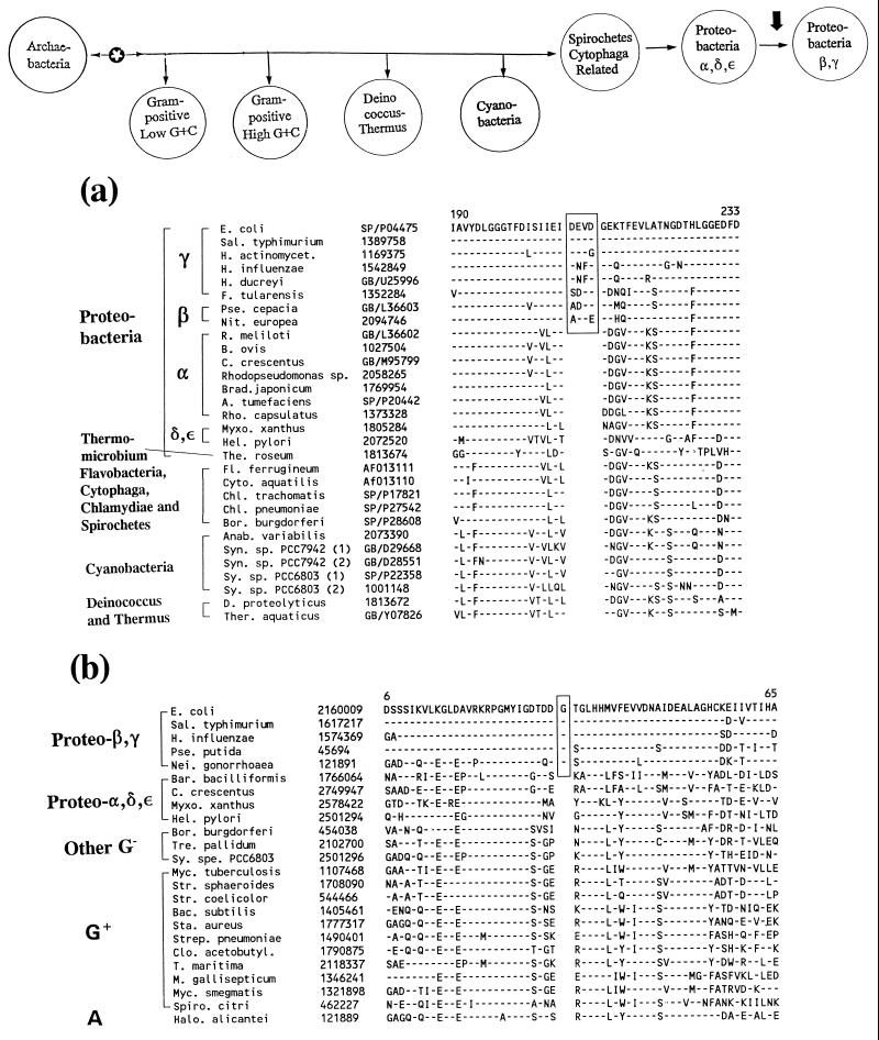 FIG. 20