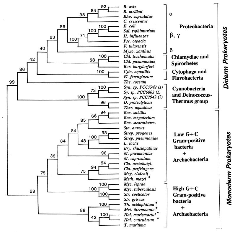 FIG. 8