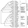 FIG. 8