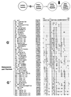 FIG. 10