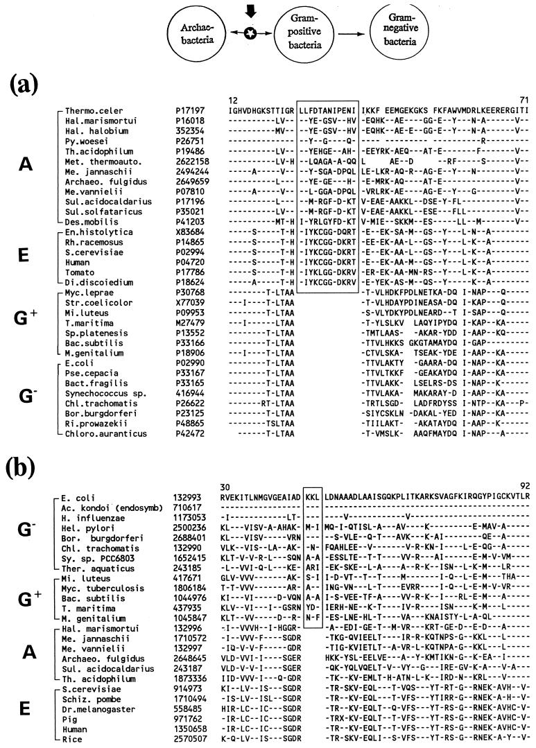 FIG. 7