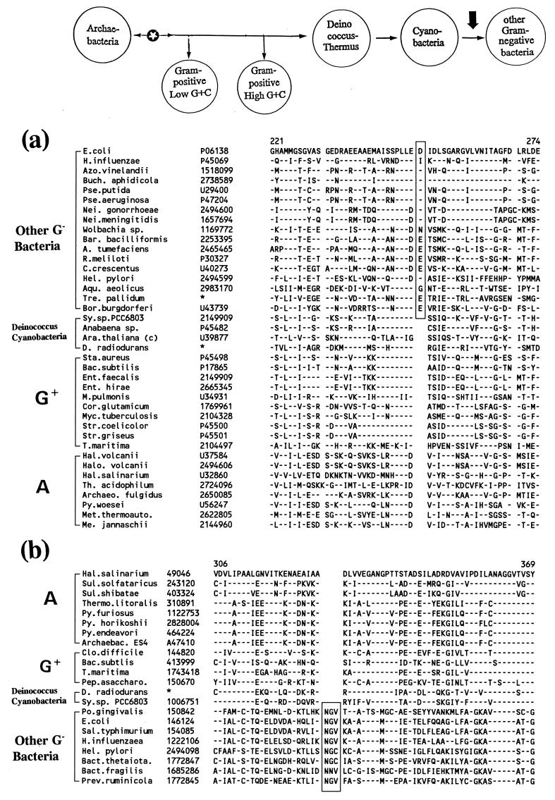 FIG. 17