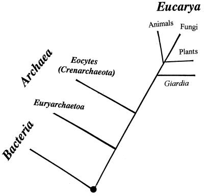 FIG. 25