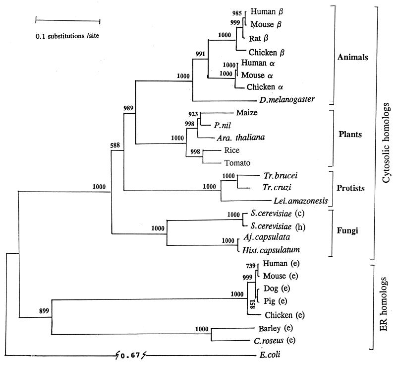 FIG. 30