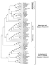 FIG. 27