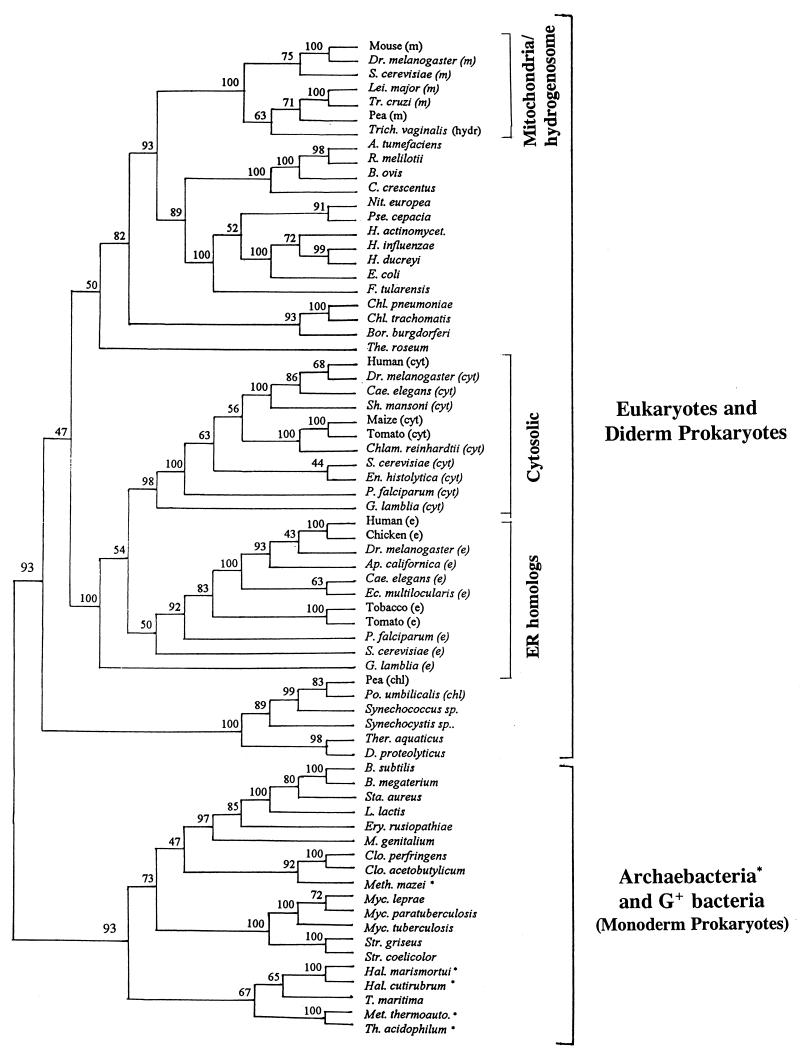 FIG. 27