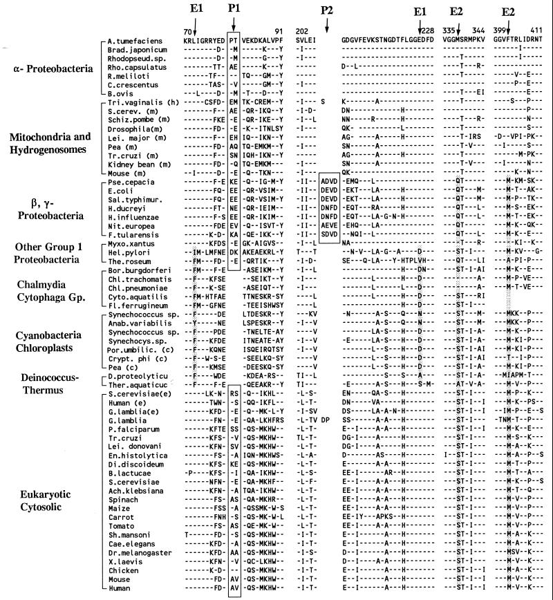 FIG. 28