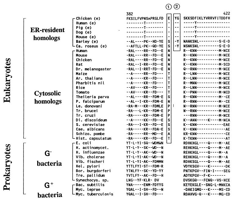 FIG. 31