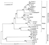 FIG. 30