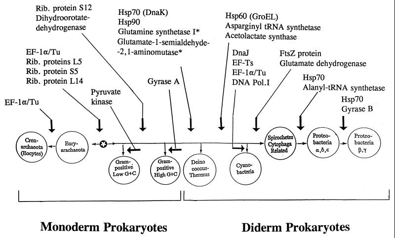 FIG. 24