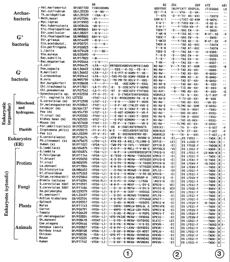 FIG. 26