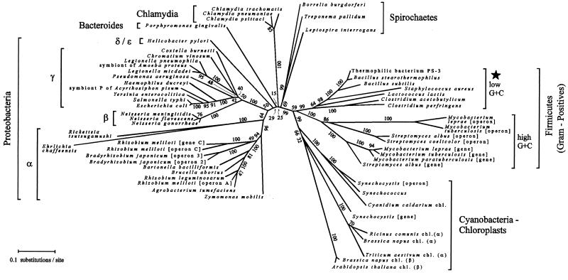 FIG. 11