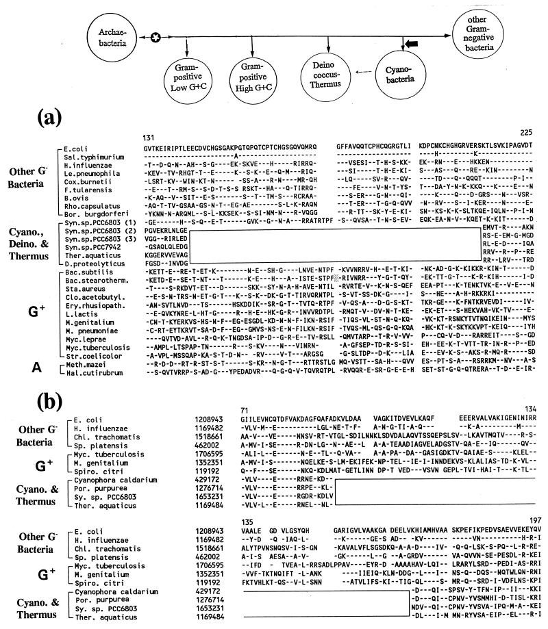 FIG. 18