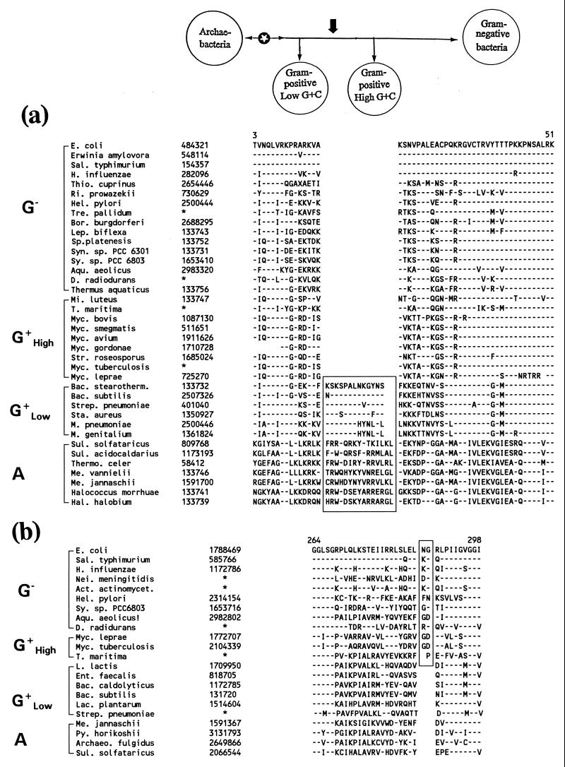 FIG. 13