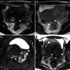 Fig. 20