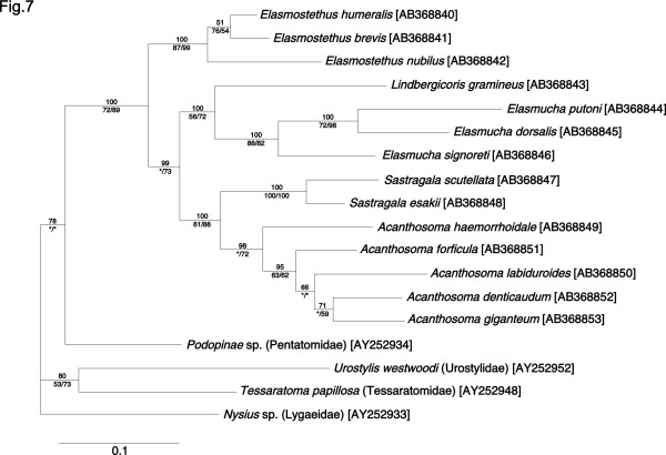 Figure 7