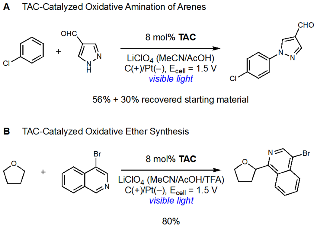 Scheme 23.