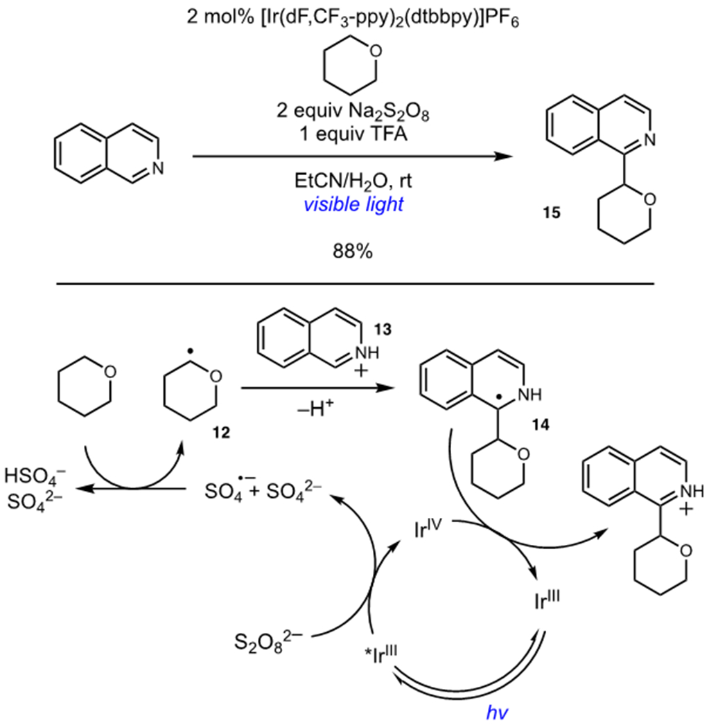 Scheme 5.