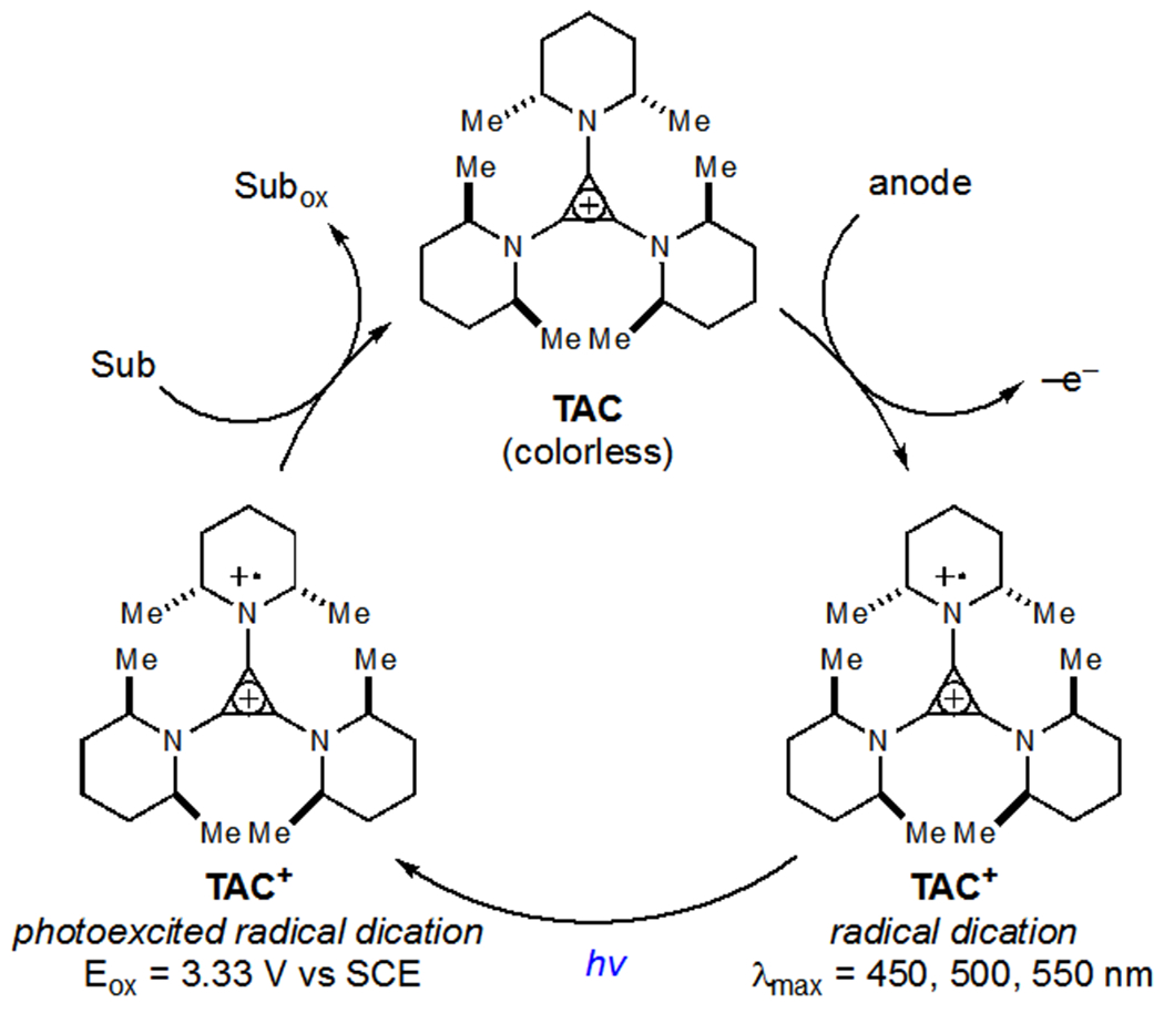 Scheme 22.