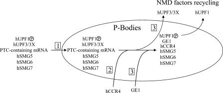 Figure 9.