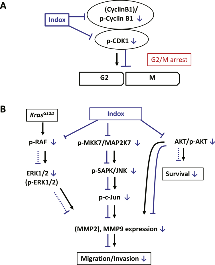 Figure 6