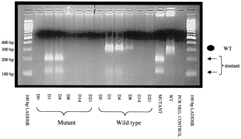 FIG. 7