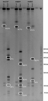 FIG. 3.