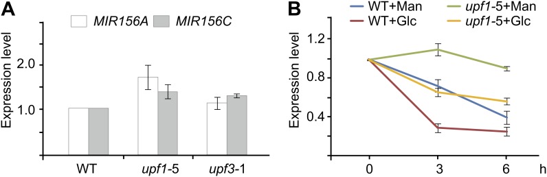 Figure 7—figure supplement 2.