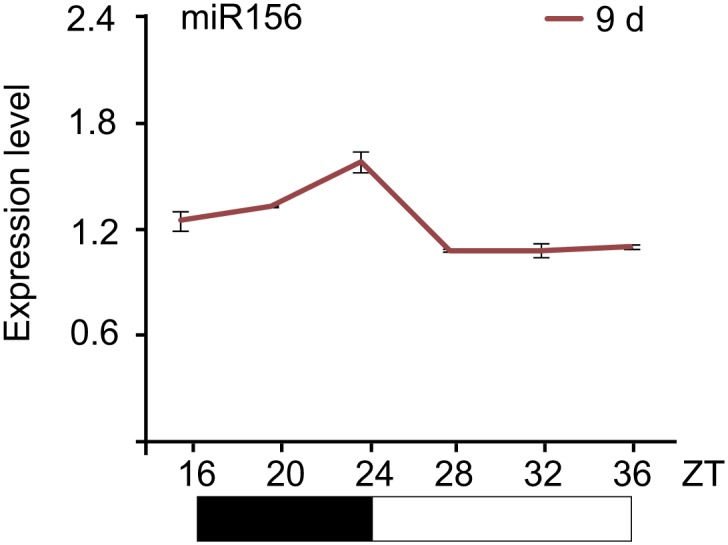 Figure 2—figure supplement 1.