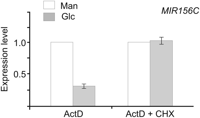 Figure 7—figure supplement 1.