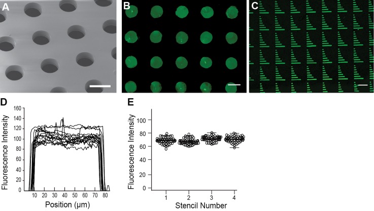 FIG. 2.